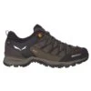 SALEWA MS MTN TRAINER LITE GTX Herren - Zustiegsschuhe 1 SALEWA MS MTN TRAINER LITE GTX Herren - Zustiegsschuhe -Natur Erlebnis 5637824302 a ms mtn trainer lite gtx salewa 24