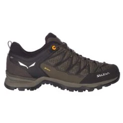Natur Erlebnis 26 SALEWA MS MTN TRAINER LITE GTX Herren - Zustiegsschuhe
