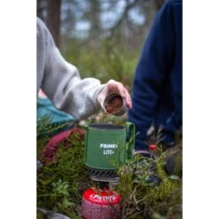 Primus LITE PLUS STOVE SYSTEM FERN - Gaskocher -Natur Erlebnis 5637860204 g lite plus stove system fern primus 24