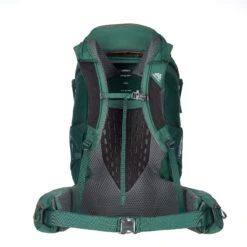 Gregory AMBER 65 PLUS Damen - Trekkingrucksack Damen -Natur Erlebnis 5638018783 c amber 65 plus gregory 24