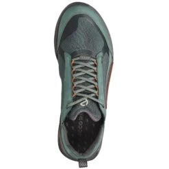 ECCO BIOM 2.1 X MOUNTAIN M Herren - Wanderstiefel -Natur Erlebnis 5638054530 f biom 21 x mountain m ecco 24